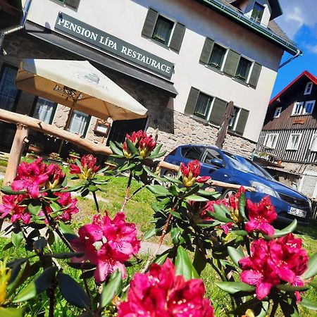 Pension Lipa Горни-Маршов Экстерьер фото